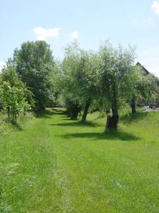 ENVIRONNEMENT La Schwemmgrawe au village